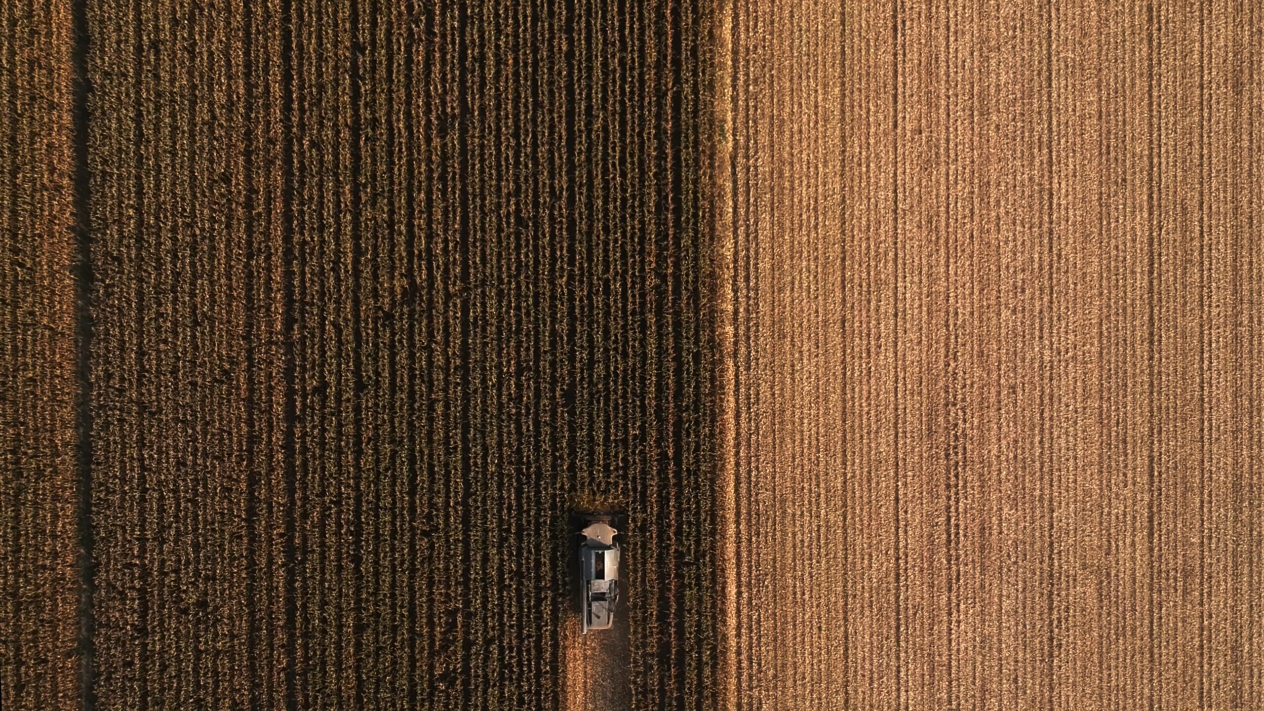 AGRICOLT BRANDONI - IRRITEC