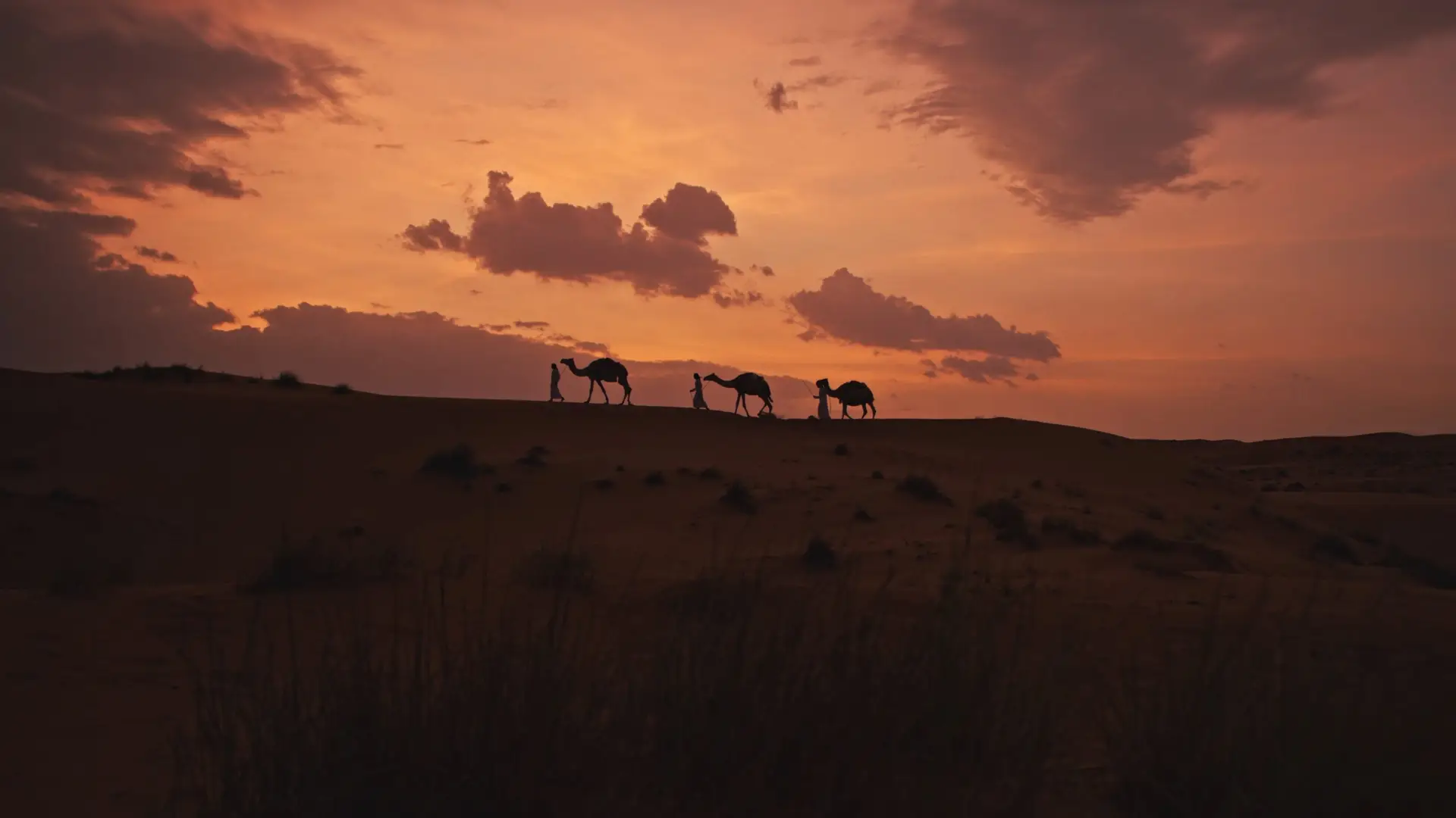 BE HUMAN, BE OMAN - EP 4